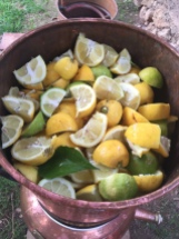 hidrolato y aceite esencial de limón